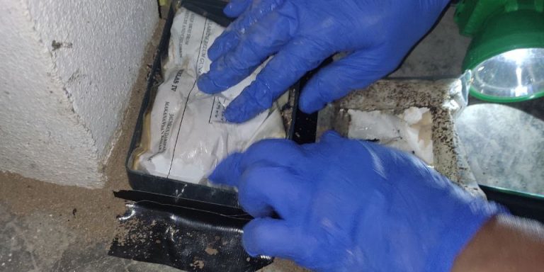 termite baiting, termite control,