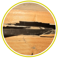 hollow sounding wood